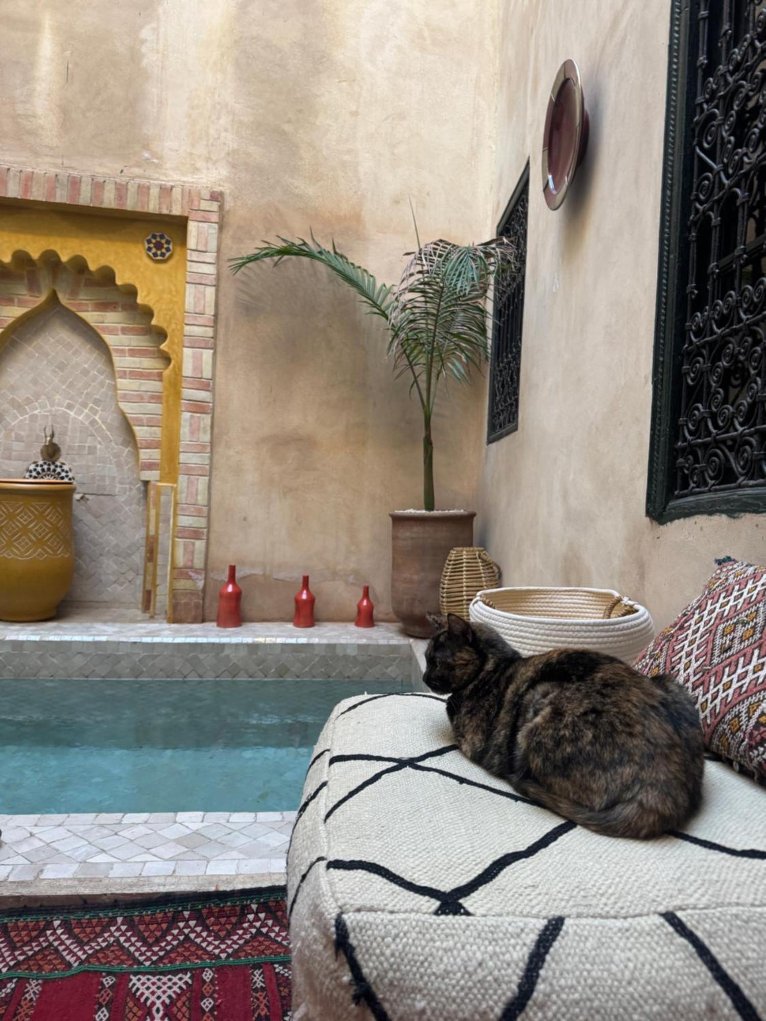 Riad Paquerette Marrakesh Exterior photo